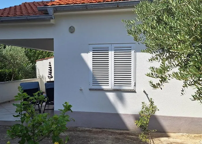 Paula Case de vacanță *